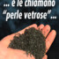 L’ossicombustore