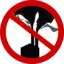 Primo Convegno Internazionale contro l’Incenerimento dei Rifiuti nei Cementifici